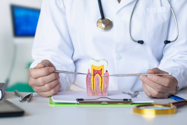 Best 24-Hour Emergency Dentist in Pecan Plantation, TX